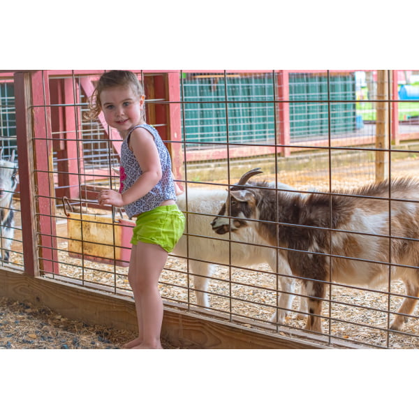Barnyard Fun Party Package Hidden 2