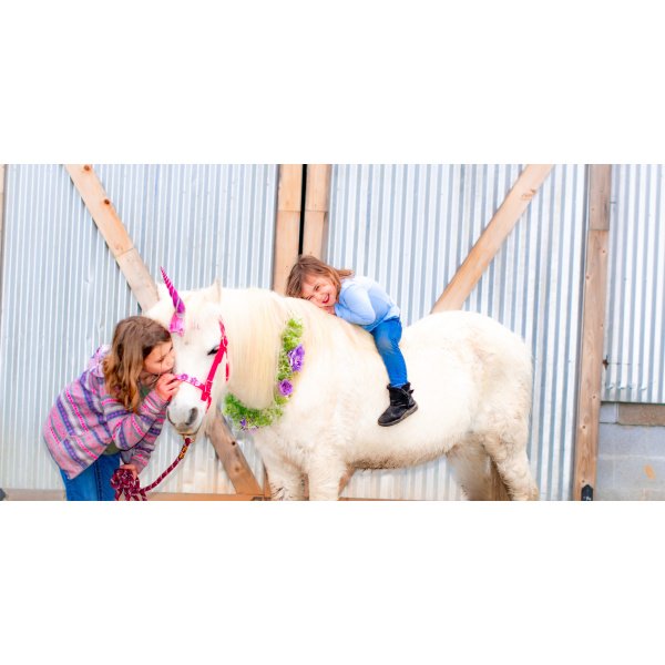 Pony Rides – 2 Ponies Hourly Hidden Pony Rides – 2 Ponies Hourly Hidden