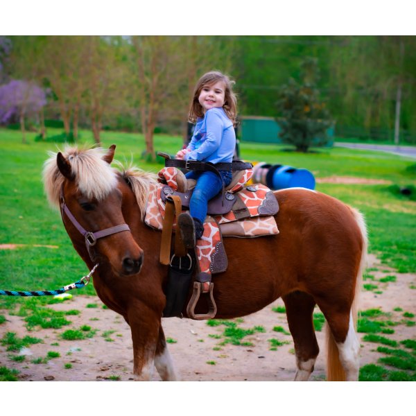 Party Barn Pony