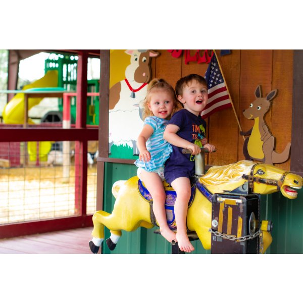 Barnyard Fun Party Package Hidden 3