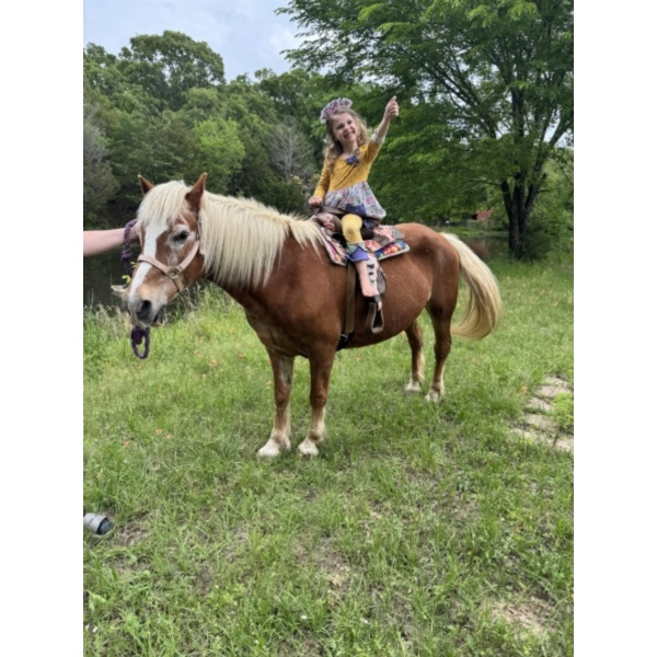 Additional Pony